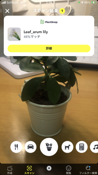Snapchatで行う観葉植物判断