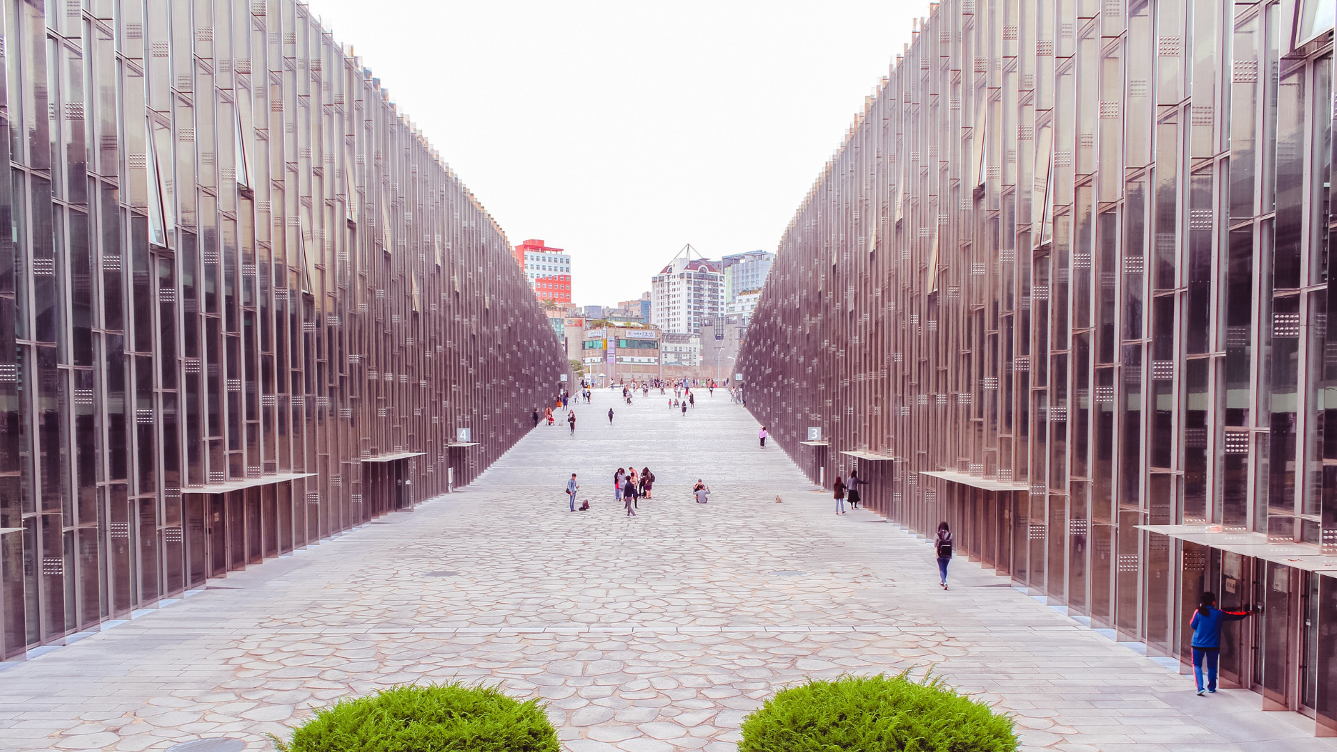 韓国トップ大学に合格した韓国人大学生に聞く高校生の受験勉強事情 Moeful Days