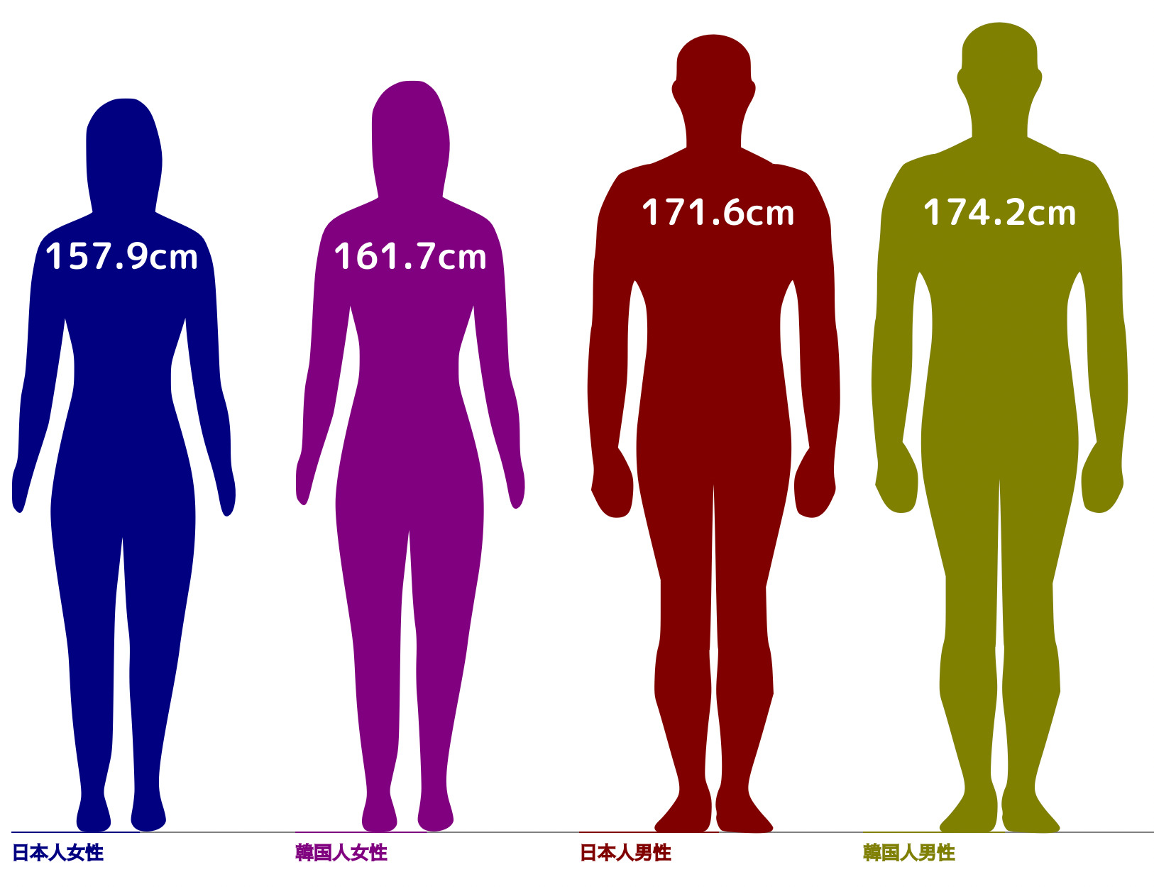 日本人との比較から見る韓国人の平均身長